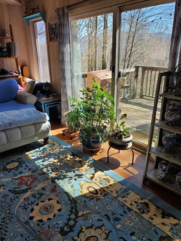 Treehouse Cathedral In Blue Ridge Mountains, Nc Villa Burnsville Exteriör bild